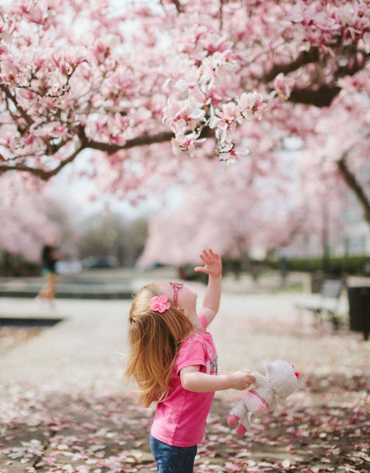 dziewczynka i różowe drzewo